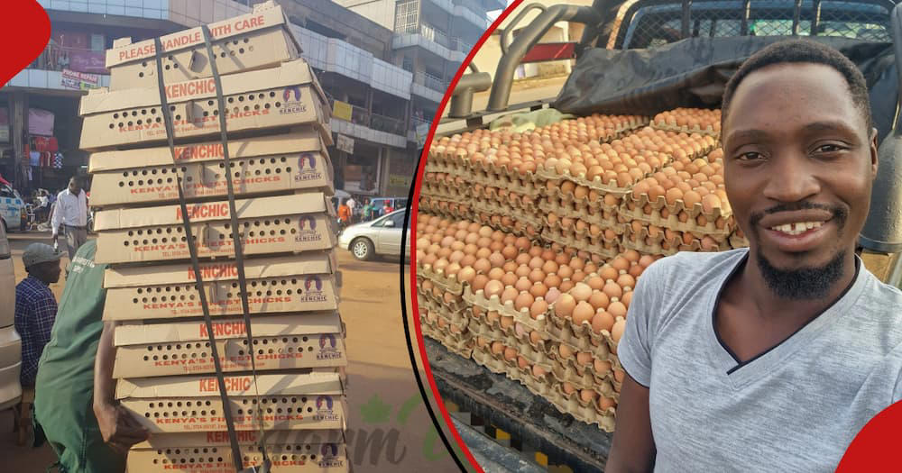 from bicycle to toyota hilux: the inspirational journey of successful poultry farmer
