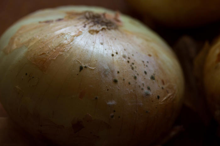 küchen-hygiene: kann man zwiebeln mit schimmel auf der schale noch essen?
