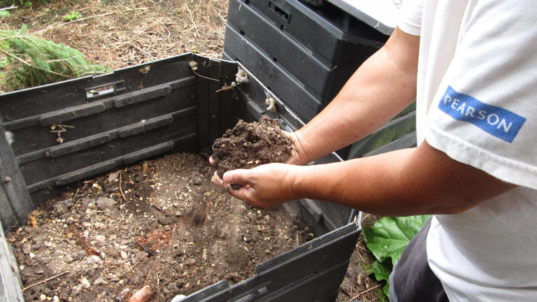 How to compost: A guide for the novice or pro as spring growing season ...