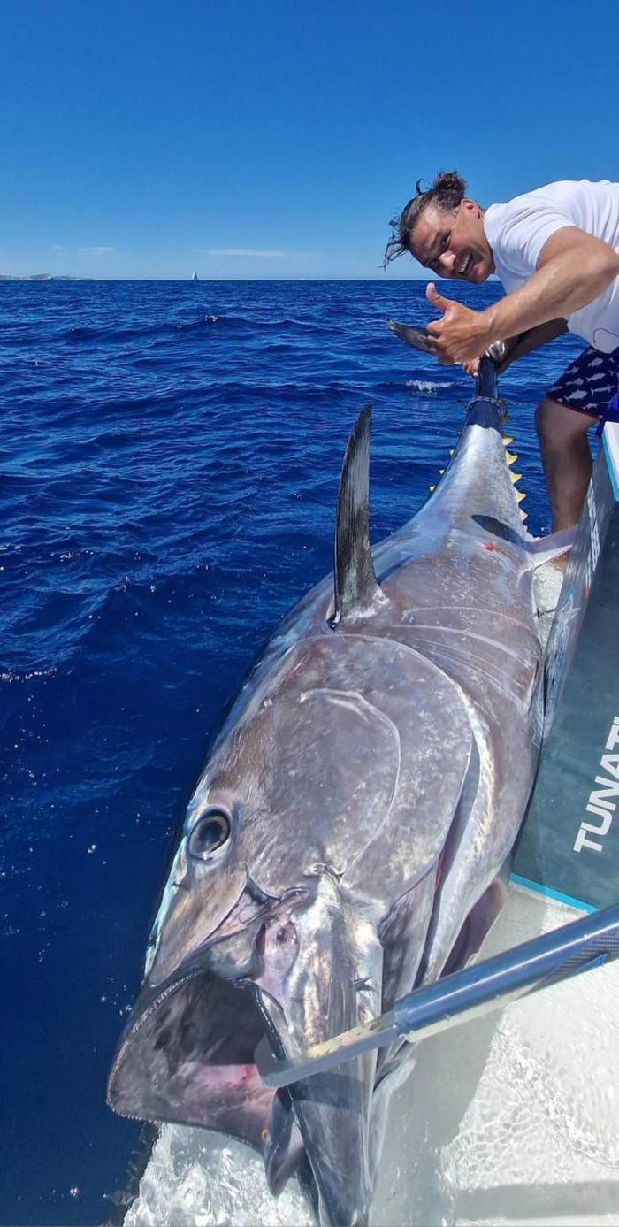pesca record a s.teresa di gallura, preso un tonno di 220 chili