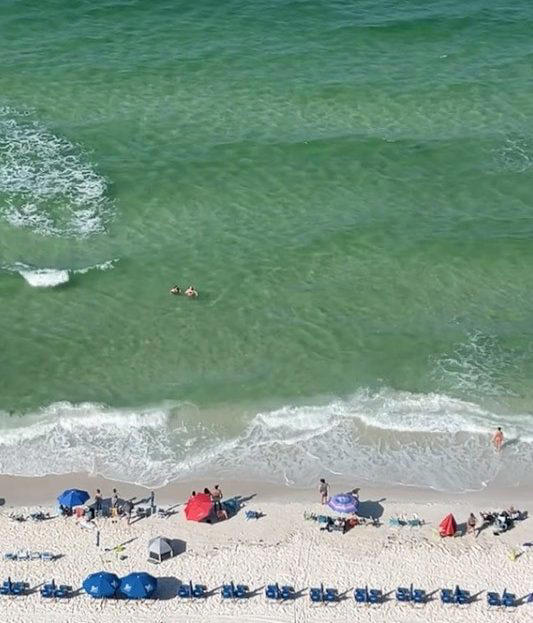 gran canaria beaches closed after hammerhead shark swims near coast