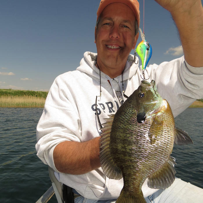 how to, how to catch bluegills: 11 tips for landing giant bluegills this summer