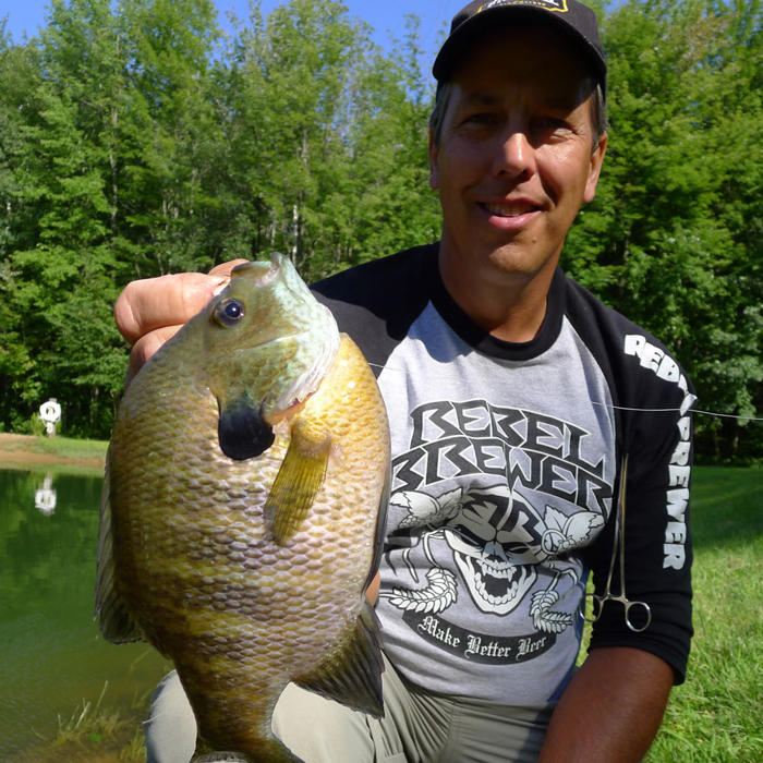how to, how to catch bluegills: 11 tips for landing giant bluegills this summer