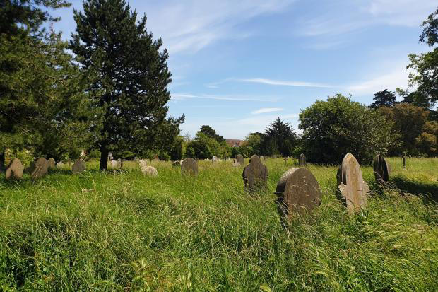 'It's not a wildlife park': Overgrown cemetery to be cut back following ...