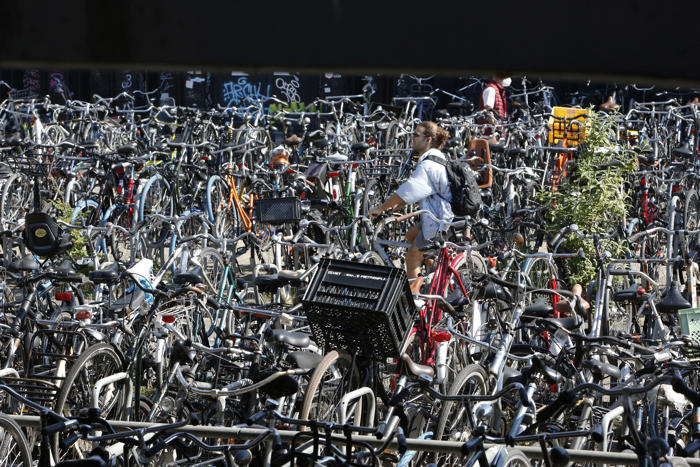 «le cerveau est très vulnérable» : les cyclistes néerlandais invités à porter un casque alors que le nombre de morts à vélo augmente