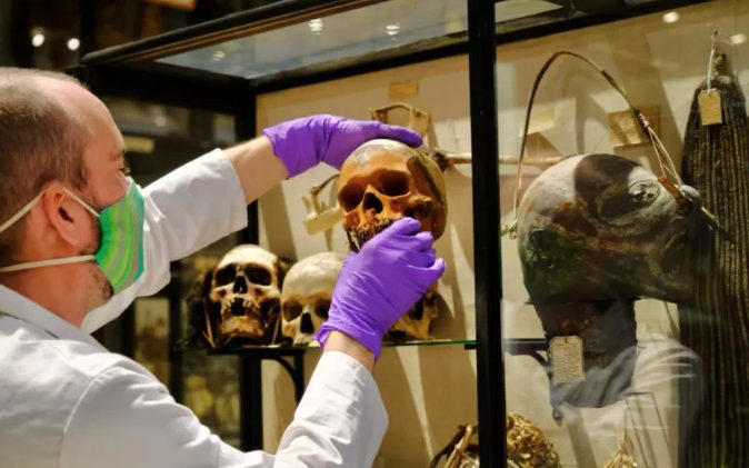Pitt Rivers Museum has, in recent years, removed many artefacts in the interest of 'cultural safety'