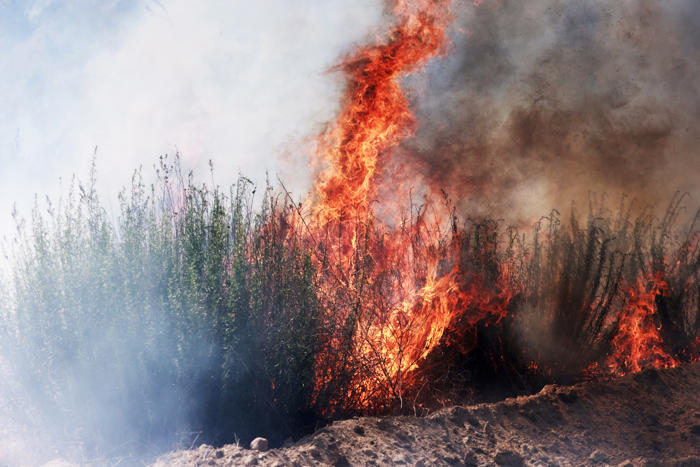 california's 'post fire' grows as residents told to 'leave now'