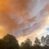 Evacuations ordered in New Mexico village after fast-moving wildfire grows rapidly<br>
