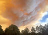 Evacuations ordered in New Mexico village after fast-moving wildfire grows rapidly<br><br>