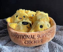 Plush toy chicks in a soft, round bed with