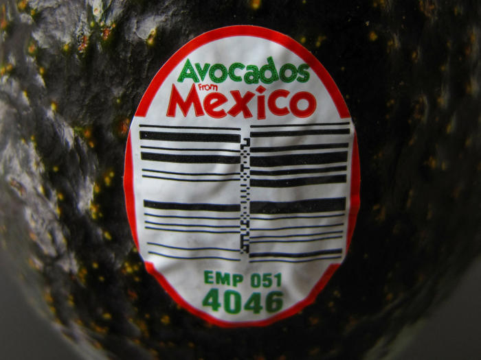 ee uu suspende las importaciones de aguacate mexicano y emite una alerta de seguridad contra michoacán