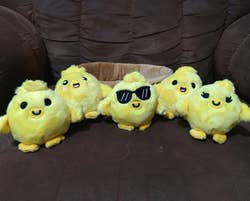 Five plush chick toys lined up