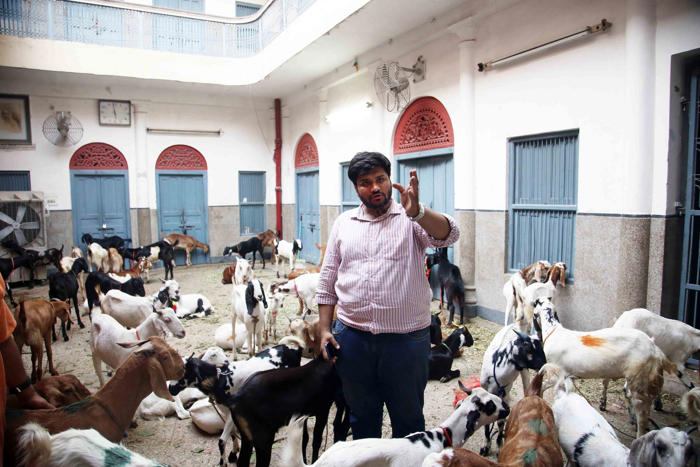 jains in old delhi dressed up as muslims to buy 124 goats. ‘saved them from bakrid sacrifice’