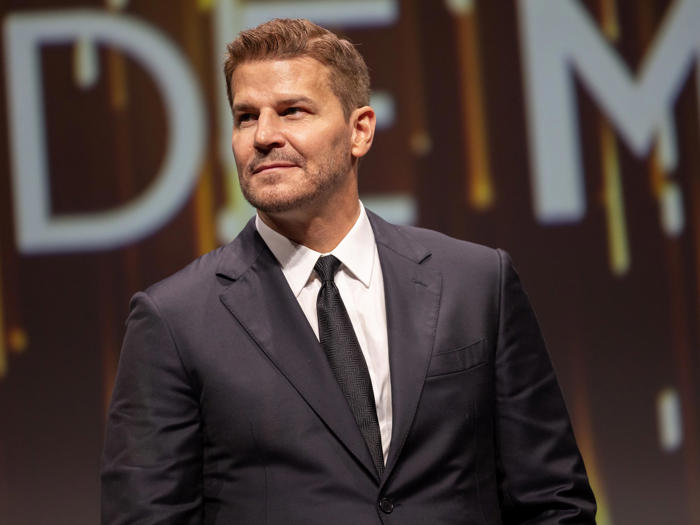 david boreanaz is already planning new show after ‘seal team' ends