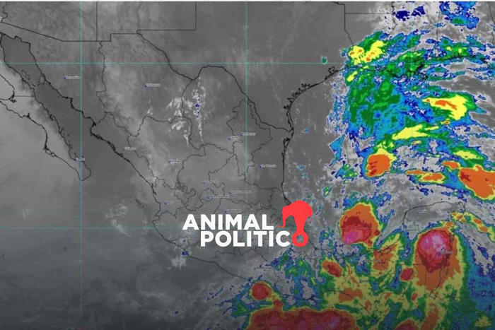 conagua pronostica formación de tormenta tropical alberto al norte de veracruz este martes; afectará nueve estados