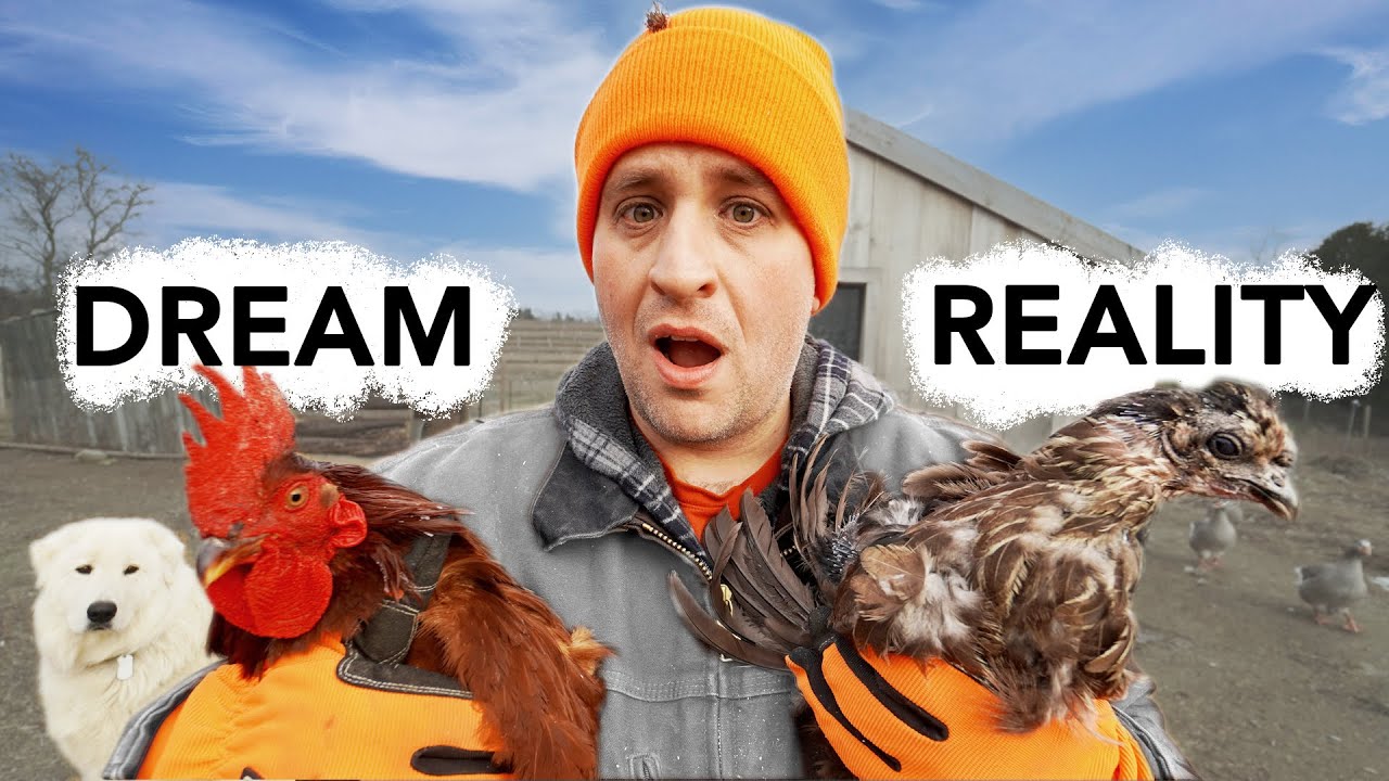 Farm Dreams vs. Reality: Lessons From Starting Out