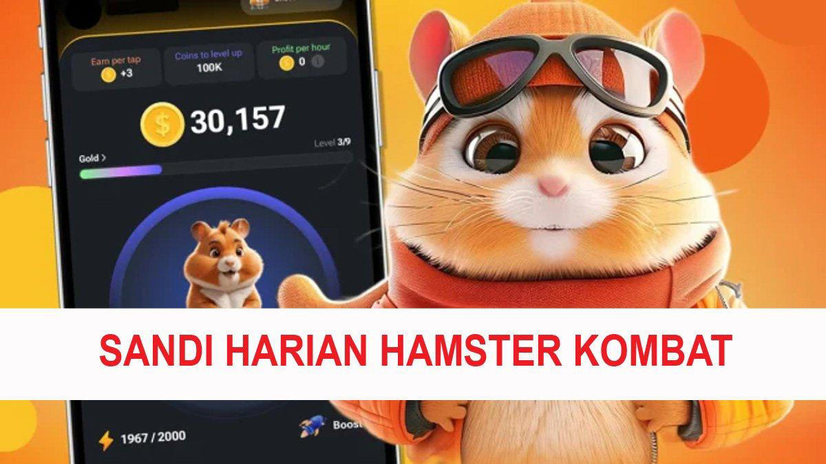 pre market di 3 exchange,segini harga 300.000 koin hamster kombat jika dirupiahkan per 29 juni 2024