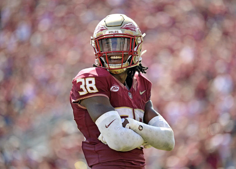 Oct 14, 2023; Tallahassee, Florida, USA; Florida State Seminoles defensive back Shyheim Brown (38) smiles after a defensive stop against the Syracuse Orange during the first half at Doak S. Campbell Stadium. © Melina Myers-USA TODAY Sports