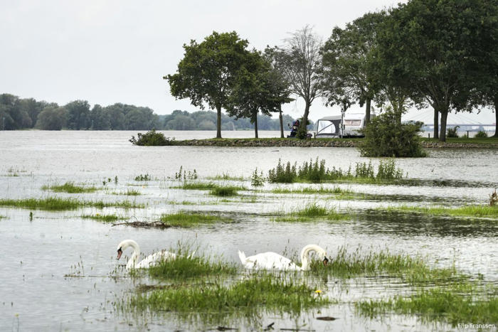 hondeweer op komst, weeronline waarschuwt voor wateroverlast: 'rivieren gaan stijgen'