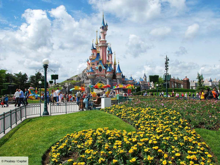Une agence de voyages espagnole proposait des séjours à Disneyland à un prix imbattable.