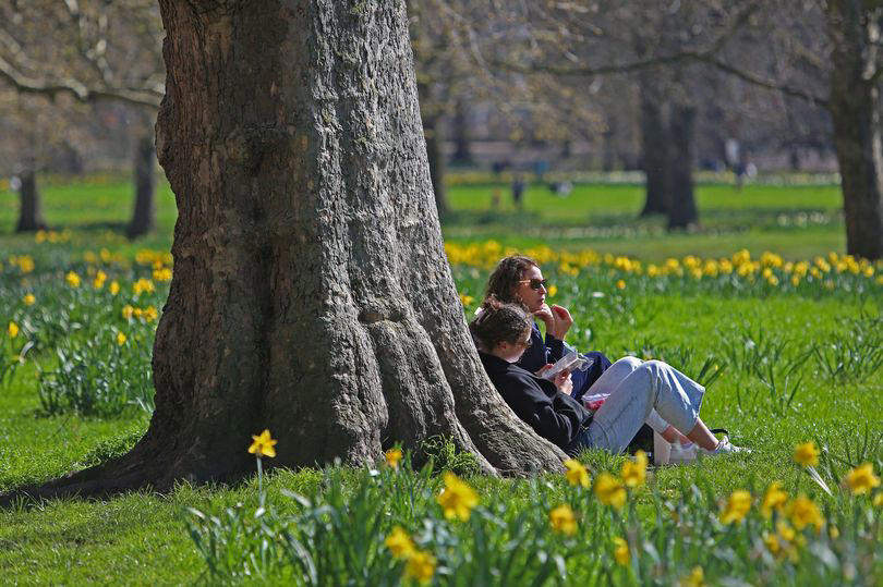 bbc weather forecasts 5-day heatwave in london