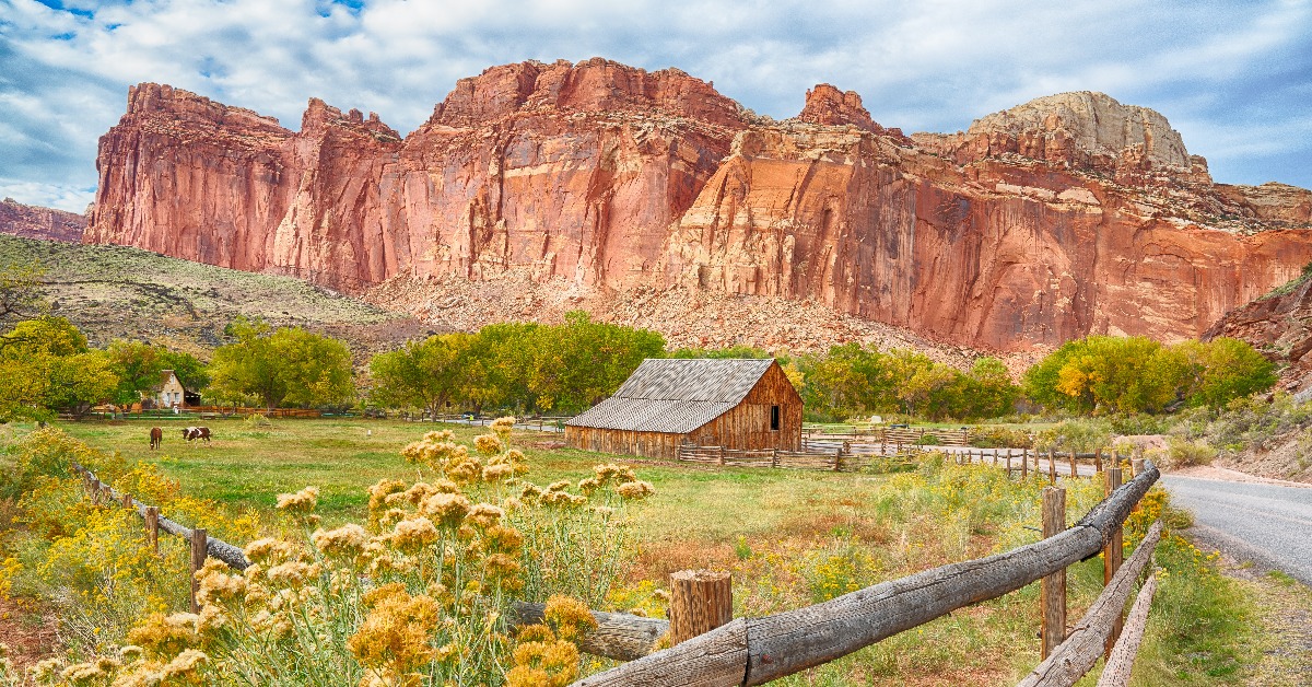 15 Most Amazing (And Budget Friendly) Farm Stays in the U.S.