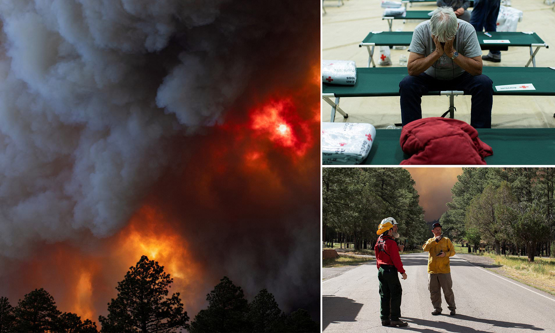 New Mexico Wildfires Force Evacuations and Close Roads