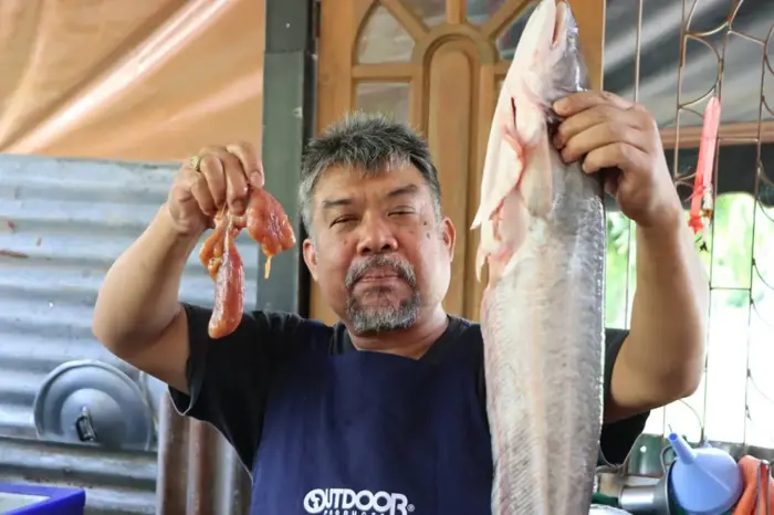 ชิมปลากระทิง ยอดปลาน้ำจืดแม่น้ำน่าน และอาหารป่านานาชนิดที่ร้านเด็ดพิษณุโลก