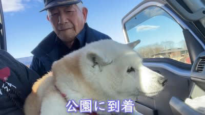 犬とおじいちゃんが『ドライブ』した結果…まるで『心が繋がっている』ような光景が59万再生「まさに以心伝心」「どことなく似てる」と絶賛