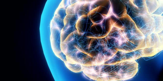 neurocientífica explica que es lo que le pasa al cerebro cuando alguien muere