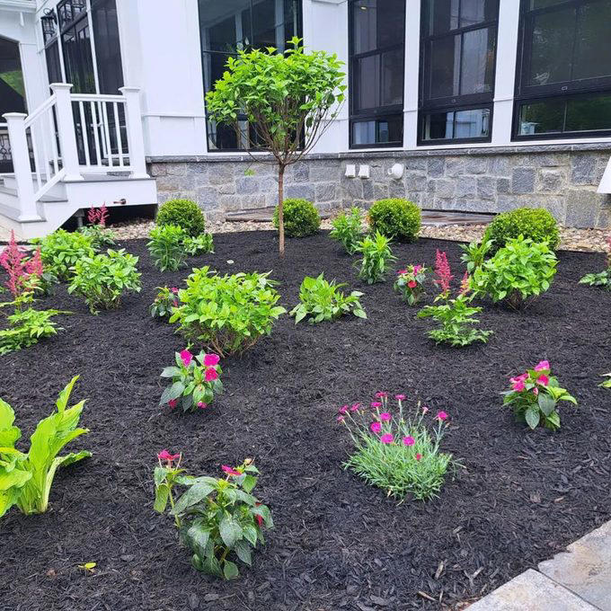 9 Black Mulch Landscaping Ideas