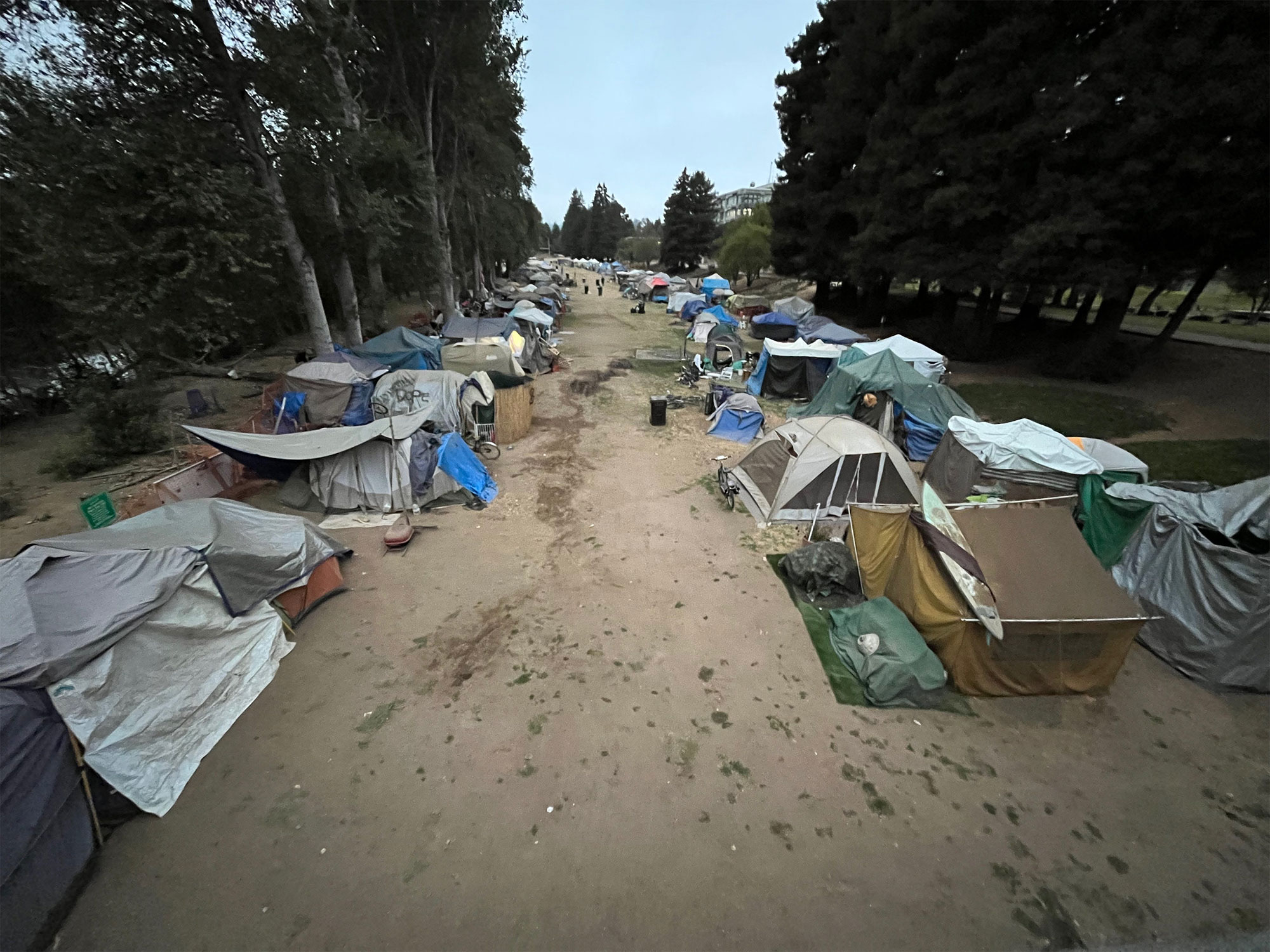 Santa Cruz County Homelessness Snapshot Finds Fewer Unhoused Youth ...