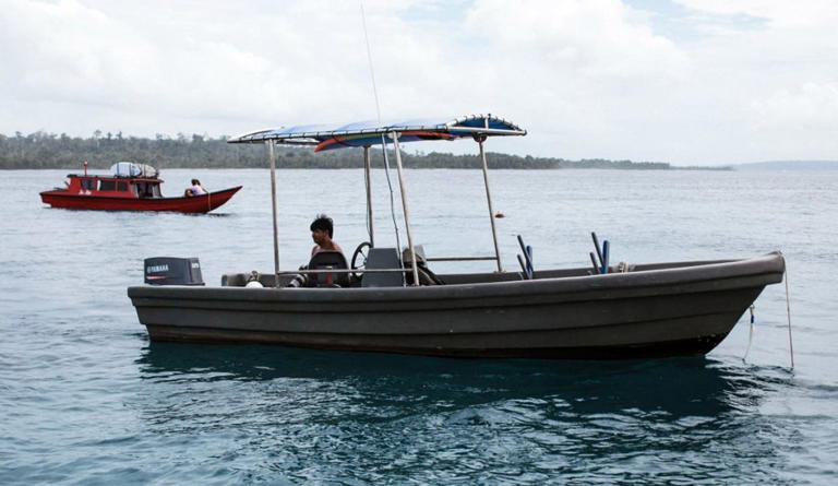 As Wooden Boats Deforest the Mentawais, a Surf-Camp Owner Is Devising a Solution