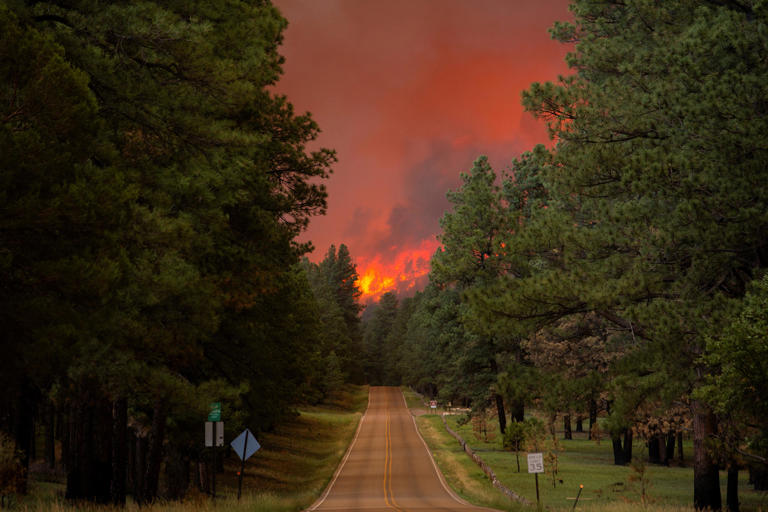 Alto Ski Shop, Swiss Chalet Inn among buildings destroyed in Ruidoso fires