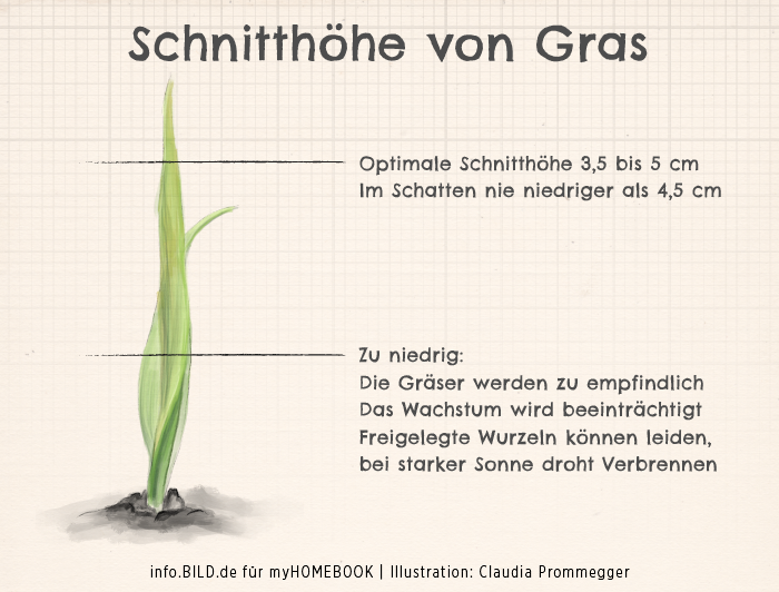 Wann man den Rasen ein letztes Mal vor dem Winter mähen sollte