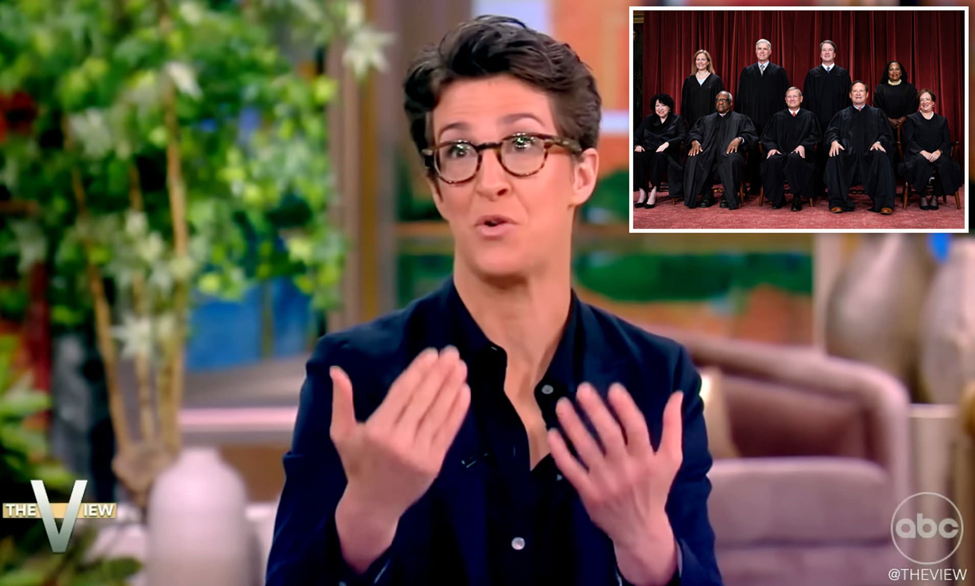 MSNBC Host Rachel Maddow Shocks The View With Wild Supreme Court Claim