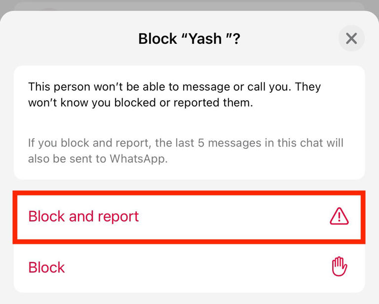 Block and Report option in the WhatsApp app on an iPhone.