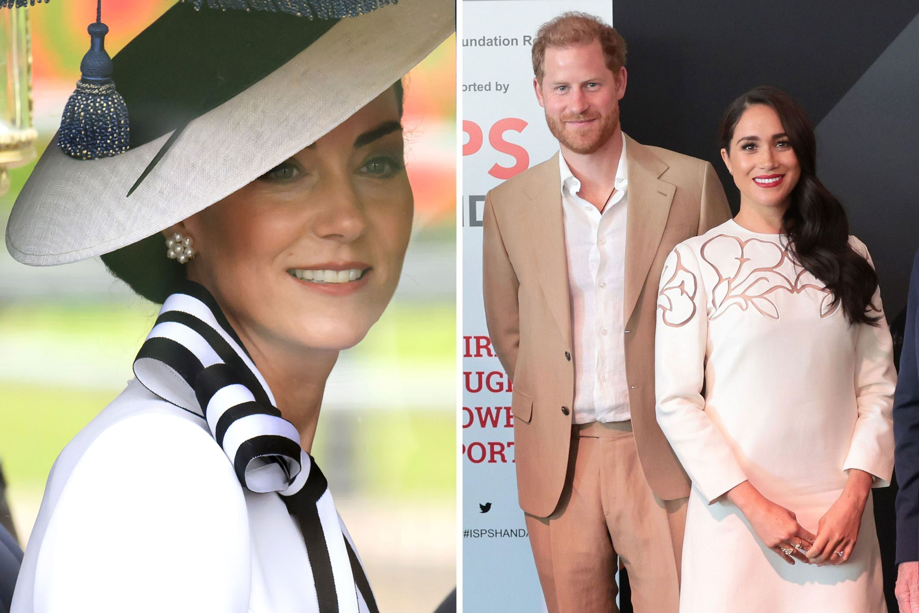 Prince Harry and Meghan Fans 'Are a Danger'—PR Expert
