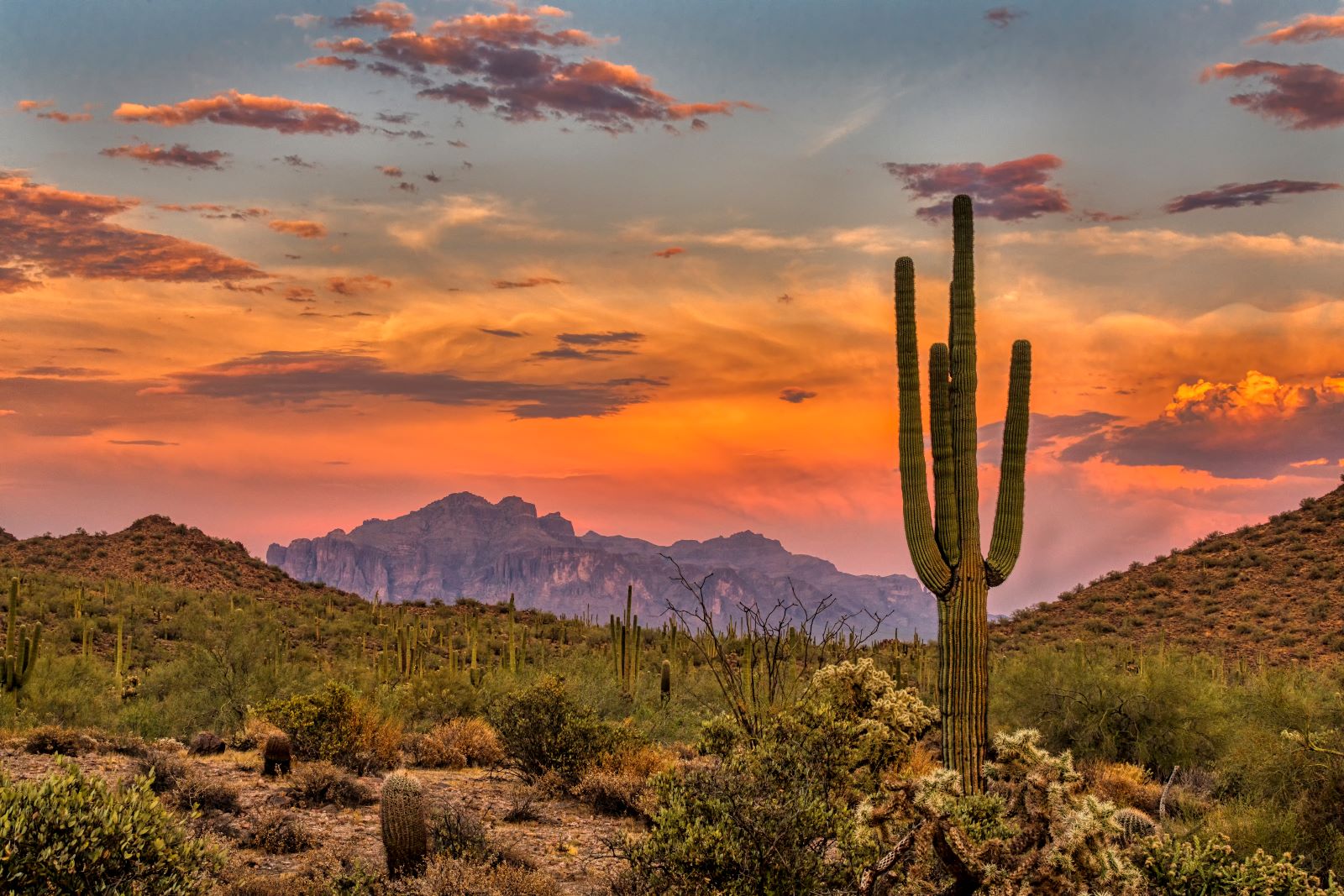 Image credit: Shutterstock / Brent Coulter <p>Explore the desert landscape and cultural heritage of Tucson. Expect to spend around $50 a day.</p>