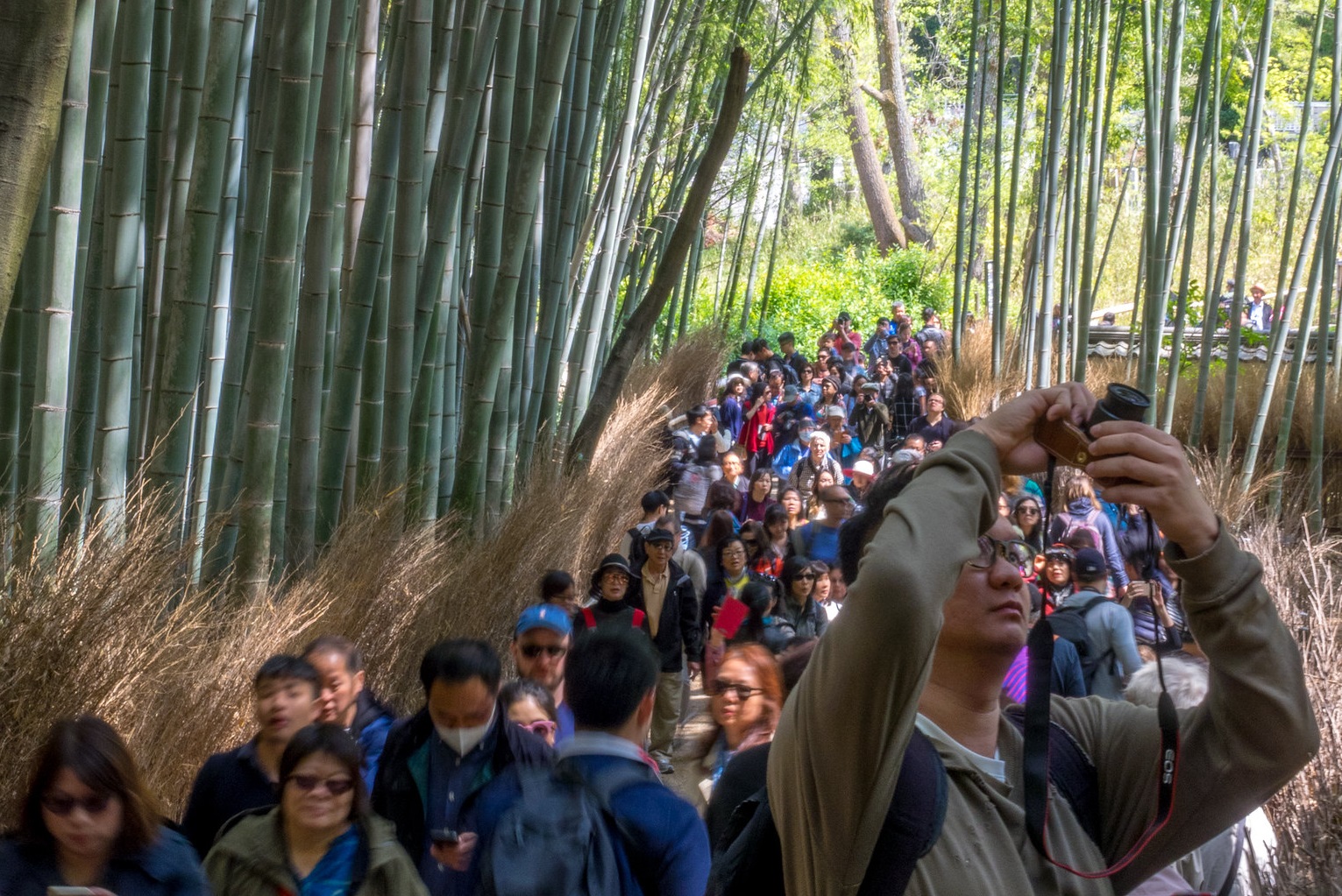 <p>Though undeniably pretty, the so-called "serenity" of the grove is ultimately ruined by the sheer number of tourists. With <strong>selfie-sticks everywhere you look</strong>, it's important to visit the Arashiyma Bamboo Grove with the expectation of sharing the experience with countless others.</p>