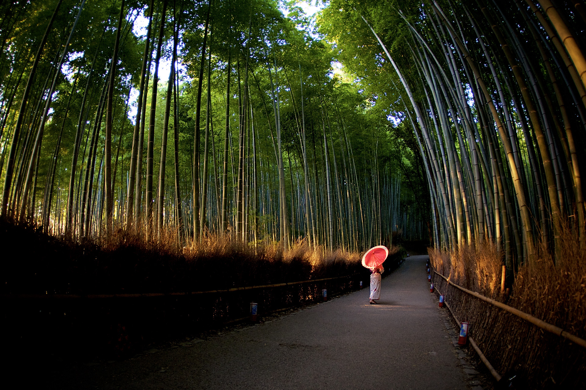 <p>On paper, the Arashiyama Bamboo Grove seems like a must-see attraction. After all, there is something so magical about <strong>being amongst the bamboo trees while the sunlight pierces through. </strong>On top of the forest's serenity, the promise of seeing monkeys is the delightful cherry on top.</p>  <p>However, some visitors were deeply disappointed by the grove.</p>