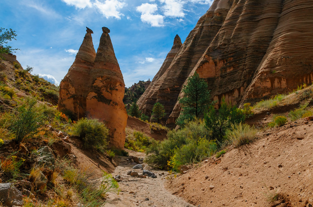 The Most Scenic Drive in Each State