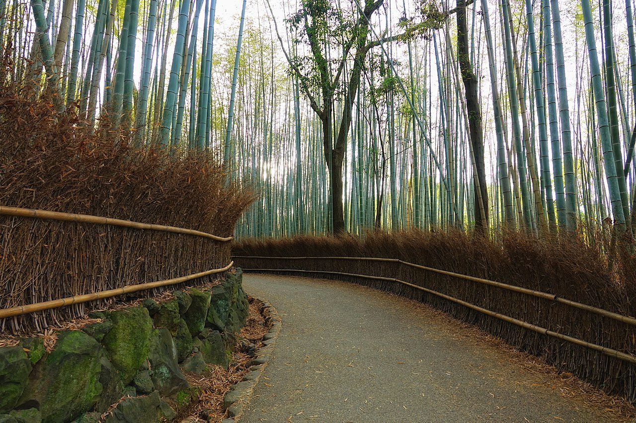 <p><strong>Location: </strong>Kyoto, Japan</p>  <p>The Arashiyama Bamboo Grove is one of the most popular tourist destinations in Japan. If you are in the midst of planning your trip to Kyoto, you've undoubtedly come across countless photographs of this beloved forest. </p>