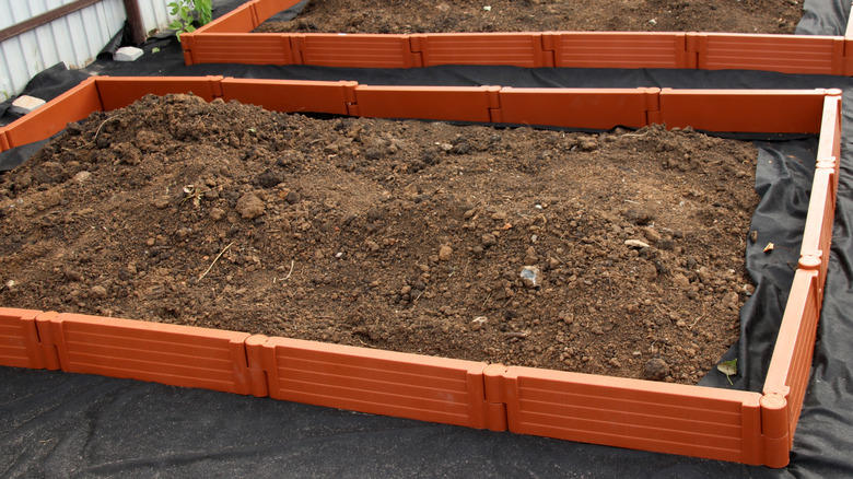 what you should know before lining your raised garden beds with plastic