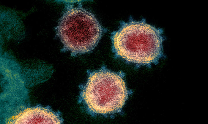 covid immune response study could explain why some escape infection