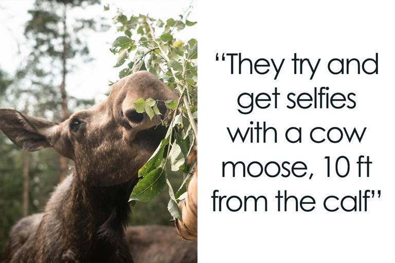 24 Canadians List Most Common Signs That Show Them Someone Is A Tourist
