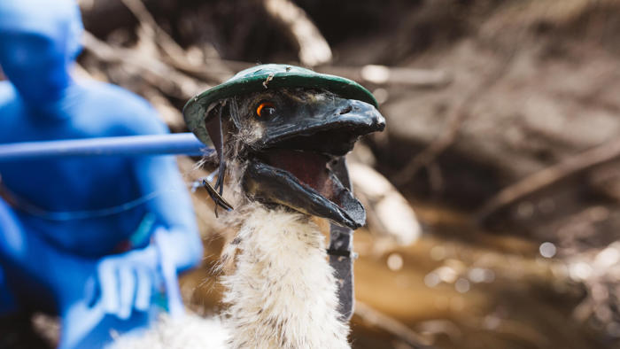 the emu war is unlike any other australian battle film you've ever seen
