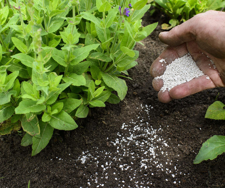 Fertilizer storage mistakes – experts reveal 7 missteps that can ruin ...