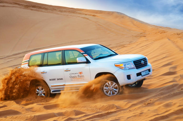Oasis Palm Tourism presents a comprehensive range of activities that are fun and unforgettable.