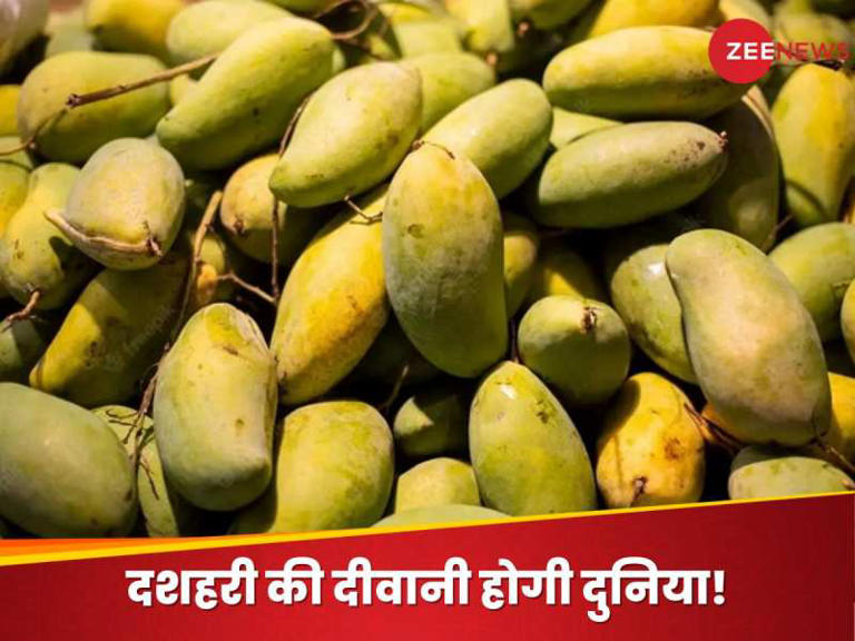 Dussehri Mango: अब दुनिया चखेगी 'दशहरी' और 'लंगड़े' का स्वाद, योगी ...